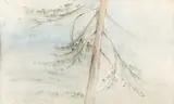 Aimo Kanerva, Tree, watercolour