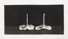 Pentti Kaskipuro, Mushrooms, etching