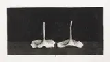 Pentti Kaskipuro, Mushrooms, etching