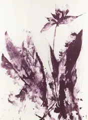 Kaisu Sirviö, Elegia, lithograph on paper