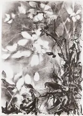 Kaisu Sirviö, Crow, lithograph on paper