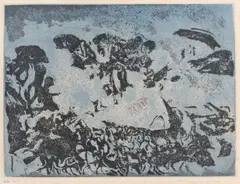 Tuulikki Pietilä, Sous la mer, etching on paper