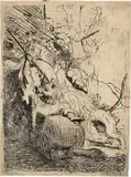 Rembrandt Harmensz van Rijn, Die kleine Löwenjagd mit einem Löwen - The Small Lion Hunt (With One Lion)