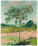 Cuno Amiet, Quitten-Bäumchen