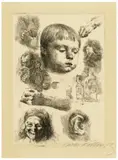 Käthe Kollwitz, Studienblatt