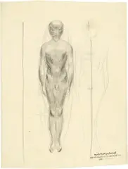 Otto Meyer-Amden, 954, 1000