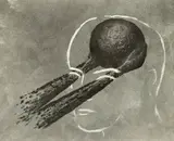 Markus Raetz, Ohne Titel (Kluge Kugel III)