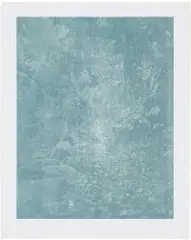 Franz Gertsch, Rüschegg I, 1988/1989, Farbiger Holzschnitt, gedruckt von 2 Platten