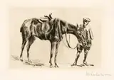 Max Liebermann, Damenreitpferd. – Damenreitpferd. – Damenreitpferd. – Reitpferd, 4 Blatt Kaltnadelarbeiten. 3 Blatt je