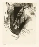 Odilon Redon, Le Coursier