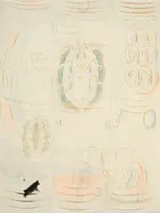 Otto Meyer-Amden, Engel Faustens Unsterbliches tragend, 1920–1930, Feder in Sepia und Aquarell