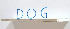 Markus Raetz, Anubis, Metamorphose aus den Buchstaben «GOD – DOG» Skulptur aus blau gefärbtem Draht, auf Sockel aus Holz