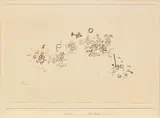 Paul Klee, böse Musik!