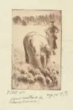 Camille Pissarro, Saint-Thomas (Antilles) 1830–1903 Paris Femme cueillant des choux, Radierung