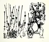 Jackson Pollock, Silkscreen VI