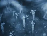 Marcel Gähler, Ohne Titel (Nr. 14), 2003, Öl auf Holz