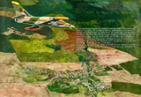 Paule Hammer, Nicole 2 (MIG), 2012, Acryl auf Papier