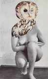 Sabrina Jung, "Waldkauz", 2011, 12-Farb Pigmentdruck auf Papier