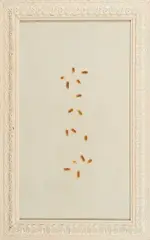 Alexander Kassing, Reisbauer mit Ernteausfall, 2011, Teppich mit Zigarettenbrandmalen