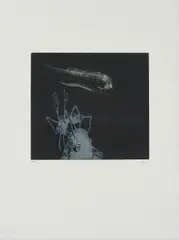 Ruprecht von Kaufmann, ohne Titel, 2005, Holzschnitt auf Mezzotinto auf Papier