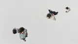 Clemens Krauss, Chromosomes, 2007, Öl auf Leinwand
