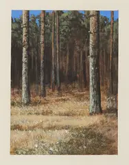 Markus Matthias Krüger, "Forst", 2012, Acryl auf Papier