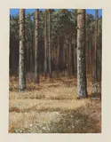 Markus Matthias Krüger, "Forst"