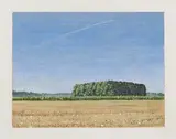 Markus Matthias Krüger, "Miniwald"