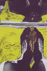 Elke Krystufek, Edie, yellow and violet, 1995, Serigrafie auf festem Papier