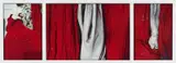 Zofia Kulik, "Mojzesz - marmur i szarfa" (Moses - Marble and Sash), 1968-71/2014, Inkjet-print