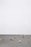Alicja Kwade, 9,81 m/s²