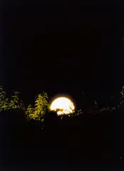Alicja Kwade, "Kein Vollmond heute", 2006, C-Print