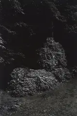 Andreas Lang, "Bei der Fledermaushöhle", 2005, Pigment Print