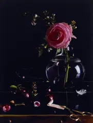 Carina Linge, "Stilleben mit Feuersalamander", 2011, C-Print