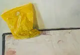 James Lloyd, Yellow bag, Öl auf Leinwand