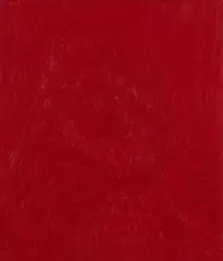 Rory Macbeth, Memento mori pictures II (faces in everyday), 2010, Öl auf Glas