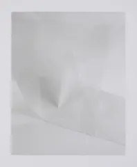 Ingo Mittelstaedt, Loss #4, 2010, Pigmentprint