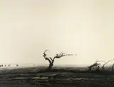 Nashuhn Nashunbatu, Ohne Titel, 2012, Öl auf Leinwand