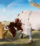 David Nicholason, Fight of the Bulls, 2008, Öl auf Holz
