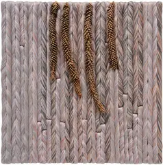Sheila Hicks, Araucario, 2012, linen and tree branches