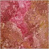 My Country by Emily Kame Kngwarreye, 1995, oil on canvas, sold Feb 2026