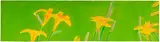 Alex Katz, Daylilies, 1991, oil on board