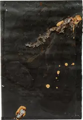 Anselm Kiefer, Komet, 1984, acrylic, emulsion, shellac and lead on photograph