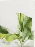 Barkley L. Hendricks, Untitled, 1978, watercolor on paper