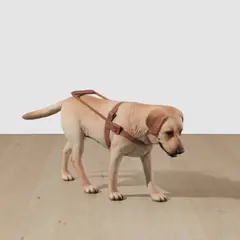 Tony Matelli, Stray Dog, 2000, painted bronze
