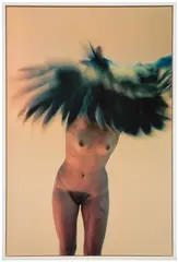 Ryan McGinley, Metamorphosis, 2011, chromogenic print face-mounted to Diasec, in artist's chosen frame