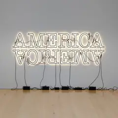 Glenn Ligon, Double America 2, 2014, neon and paint
