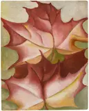 Georgia O'Keeffe, Maple Leaves and Flowering Cactus (double-sided), 1925, oil on canvas