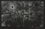 Lee Bontecou, Untitled