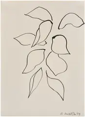 Leaves for Verve Magazine by Henri Matisse, 1948, pen and ink on paper, sold May 2026